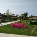 吉林省延吉市中国朝鲜族民俗园露营地